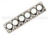 Cylinder Head Gasket:55002500