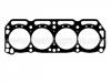 Cylinder Head Gasket:11044-H8660