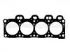 Cylinder Head Gasket:10111300