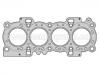 Cylinder Head Gasket:1 100 328