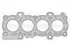 Cylinder Head Gasket:1 229 474