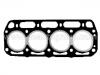 прокладка цилиндра Cylinder Head Gasket:0249-10-271