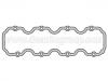 Valve Cover Gasket:06 38 192