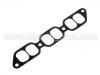 Intake Manifold Gasket:17176-62020