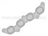 Junta, tubo de escape Exhaust Manifold Gasket:1 031 021