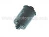 Filtro de combustible Fuel Filter:25055052