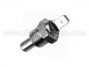 Temperature Sensor:171 919 523