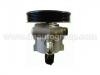 Power Steering Pump:4007.V8