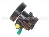 Power Steering Pump:4007.9E