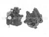Power Steering Pump:77 00 417 137