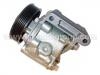 Power Steering Pump:77 00 875 709