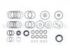 Juego de juntas, bomba hidráulica Steering Gasket Set:4A1 498 020 A