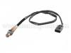 Oxygen Sensor:036 906 262 P