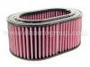 Filtro de aire Air Filter:12768255