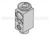 Expansion Valve:1 019 678