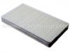 Filter, Innenraumluft Cabin Air Filter:12489479