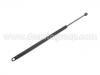 Gas Spring:SG226001