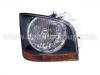 Faros delanteros Headlight:223-1116R-LDEM2