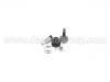 CV Joint Kit:43410-10150