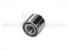 Wheel Bearing:43210-61A06