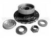 Cubo de rueda Wheel Hub Bearing:3748.41