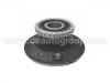 Wheel Hub Bearing:77 01 205 499