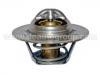 Термостат, охлаждающая жидкость Thermostat:21200-99B12