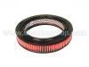Filtro de aire Air Filter:B301-13-Z40