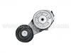 натяжной ролик сборки Belt Tensioner:2073 9751