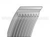 многоклиновый  ремень  V-Ribbed Belt:8PK1173