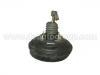 Brake Booster Brake Booster:77 00 829 805
