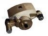 Etrier de frein Brake Caliper:41011-94M10